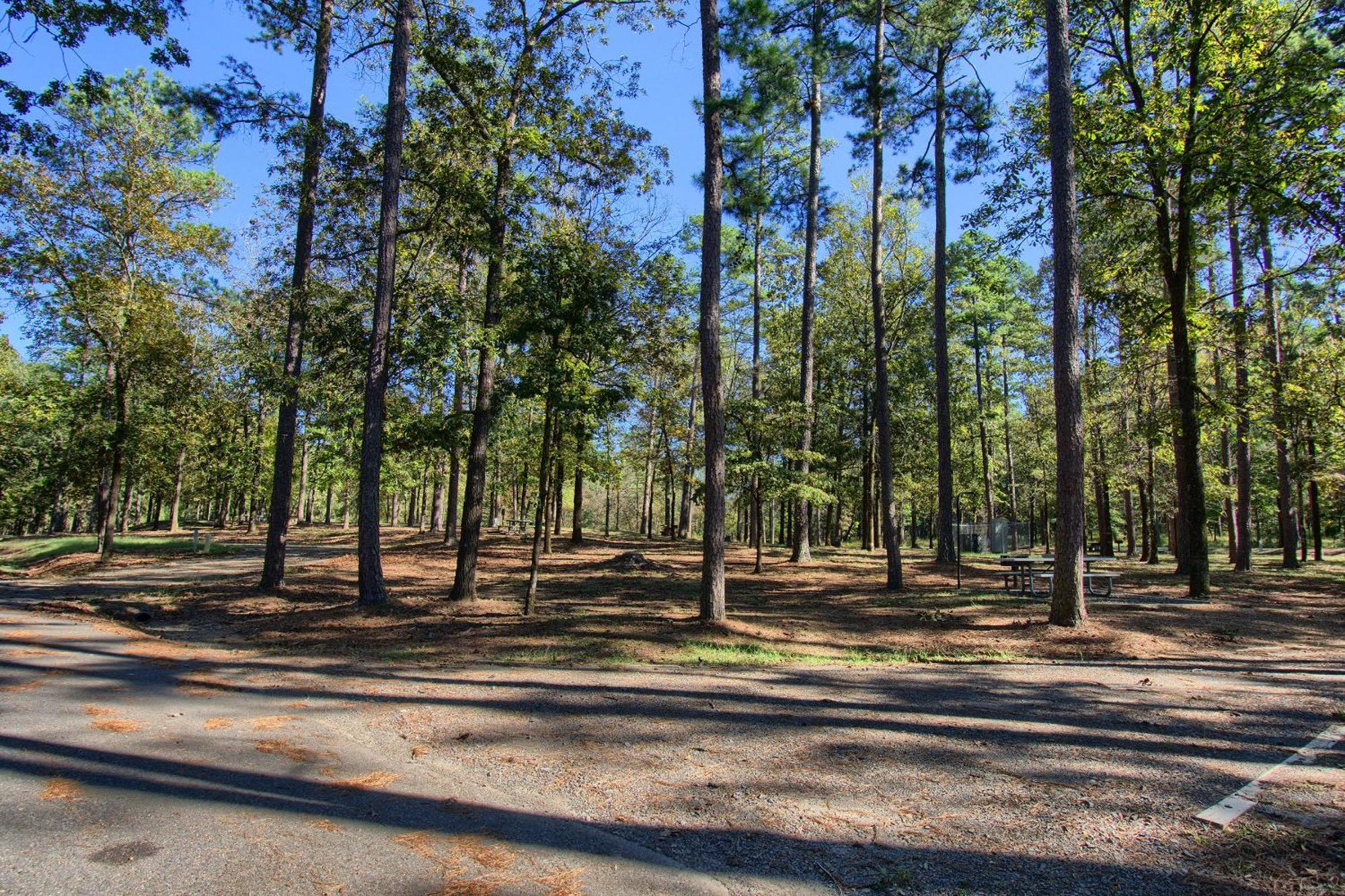 The Americana - Parker Creek Bend Cabins Murfreesboro Exteriér fotografie